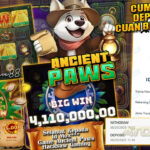menang besar di ancient paws hacksaw gaming